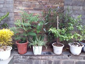 Hình ảnh Tòa nhà Nhật An xanh